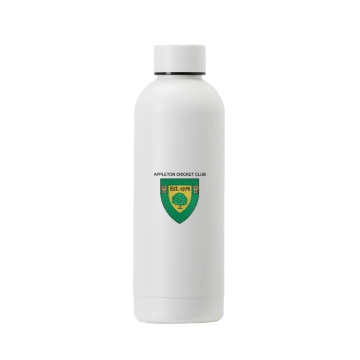 STAINLESS STEEL BOTTLE - 500ML